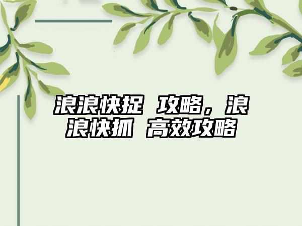 浪浪快捉 攻略，浪浪快抓 高效攻略