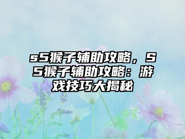 s5猴子辅助攻略，S5猴子辅助攻略：游戏技巧大揭秘