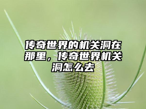 传奇世界的机关洞在那里，传奇世界机关洞怎么去