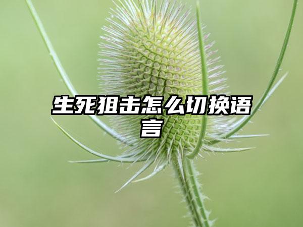 生死狙击怎么切换语言
