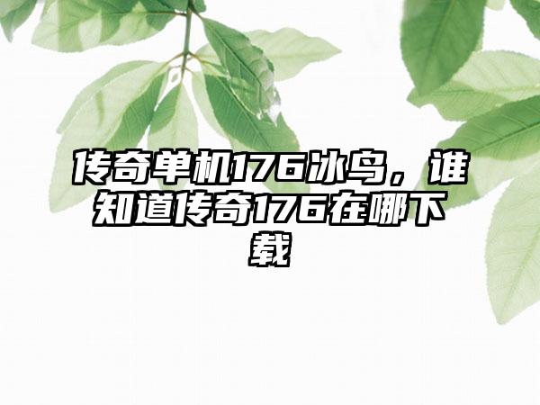 传奇单机176冰鸟，谁知道传奇176在哪下载