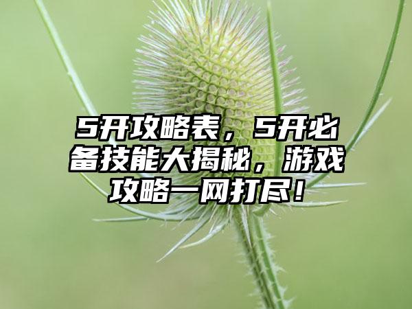 5开攻略表，5开必备技能大揭秘，游戏攻略一网打尽！