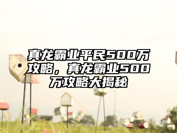 真龙霸业平民500万攻略，真龙霸业500万攻略大揭秘