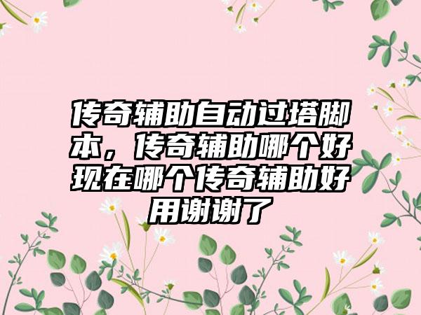 传奇辅助自动过塔脚本，传奇辅助哪个好现在哪个传奇辅助好用谢谢了