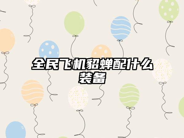 全民飞机貂蝉配什么装备
