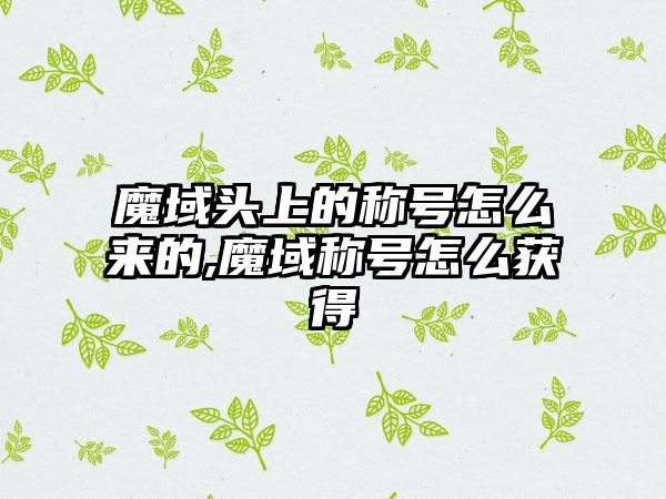 魔域头上的称号怎么来的,魔域称号怎么获得