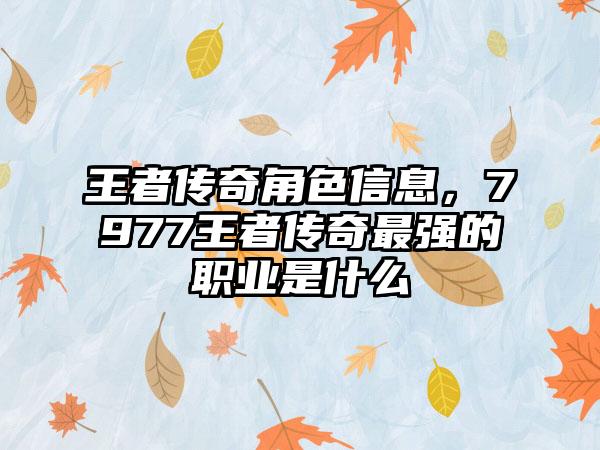 王者传奇角色信息，7977王者传奇最强的职业是什么