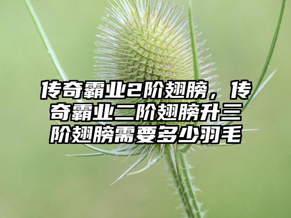 传奇霸业2阶翅膀，传奇霸业二阶翅膀升三阶翅膀需要多少羽毛