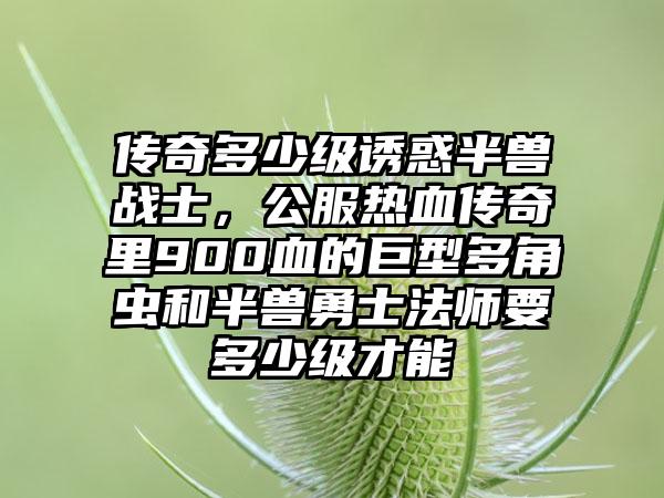 传奇多少级诱惑半兽战士，公服热血传奇里900血的巨型多角虫和半兽勇士法师要多少级才能