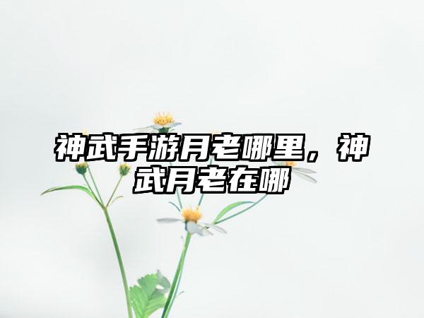 神武手游月老哪里，神武月老在哪
