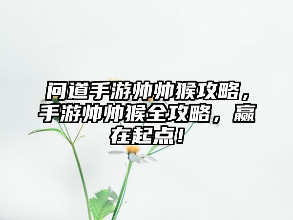 问道手游帅帅猴攻略，手游帅帅猴全攻略，赢在起点！