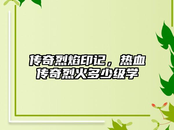 传奇烈焰印记，热血传奇烈火多少级学