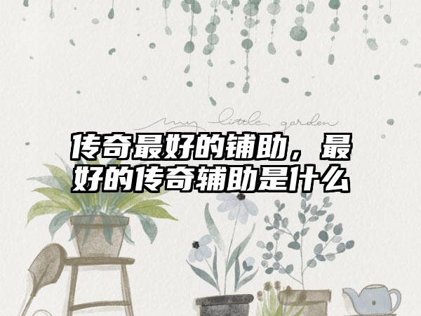 传奇最好的铺助，最好的传奇辅助是什么