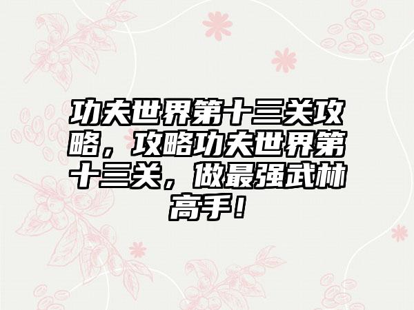 功夫世界第十三关攻略，攻略功夫世界第十三关，做最强武林高手！