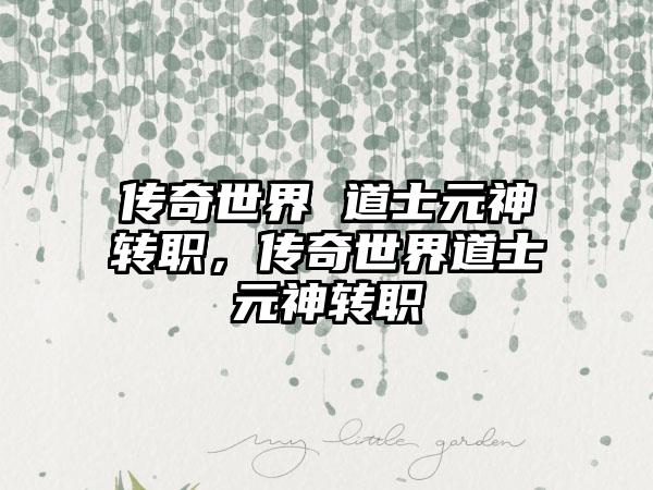 传奇世界 道士元神转职，传奇世界道士元神转职