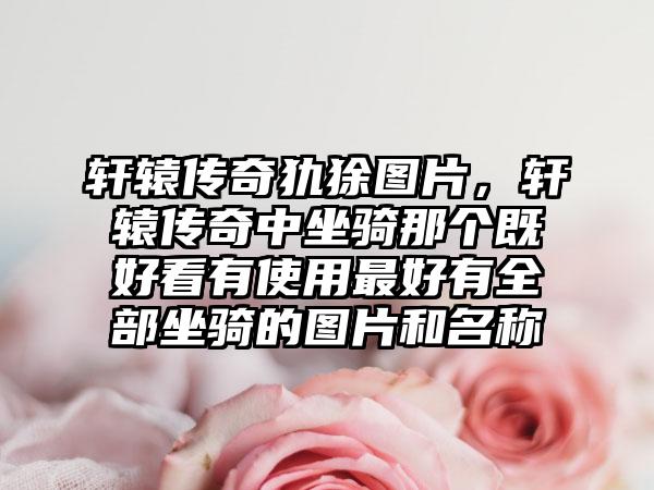 轩辕传奇犰狳图片，轩辕传奇中坐骑那个既好看有使用最好有全部坐骑的图片和名称