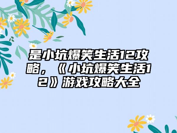 是小坑爆笑生活12攻略，《小坑爆笑生活12》游戏攻略大全