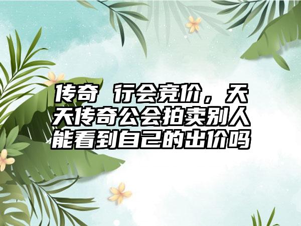 传奇 行会竞价，天天传奇公会拍卖别人能看到自己的出价吗