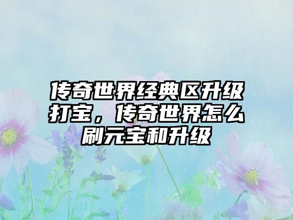 传奇世界经典区升级打宝，传奇世界怎么刷元宝和升级