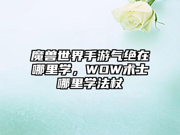 魔兽世界手游气绝在哪里学，WOW术士哪里学法杖
