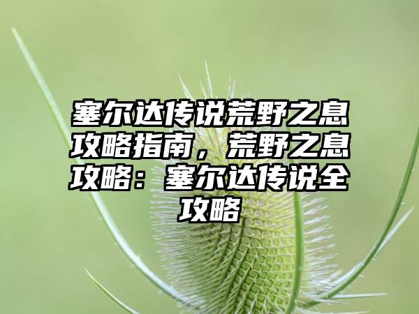 塞尔达传说荒野之息攻略指南，荒野之息攻略：塞尔达传说全攻略