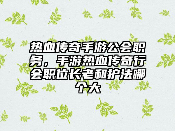 热血传奇手游公会职务，手游热血传奇行会职位长老和护法哪个大