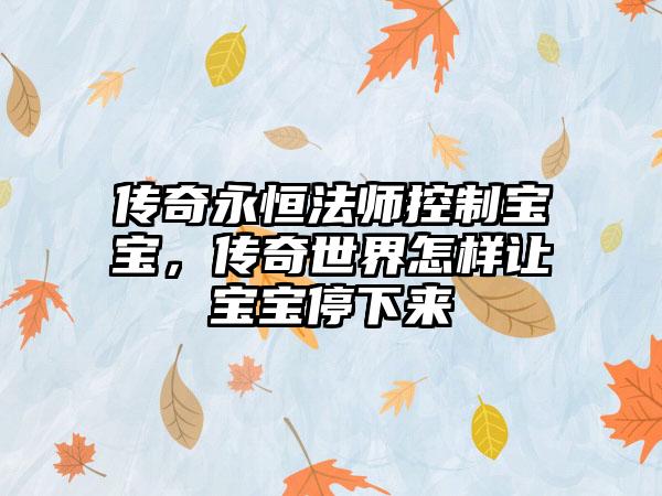 传奇永恒法师控制宝宝,传奇世界怎样让宝宝停下来