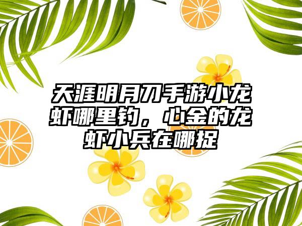 天涯明月刀手游小龙虾哪里钓，心金的龙虾小兵在哪捉