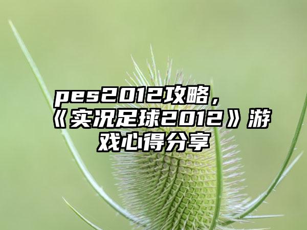 pes2012攻略，《实况足球2012》游戏心得分享