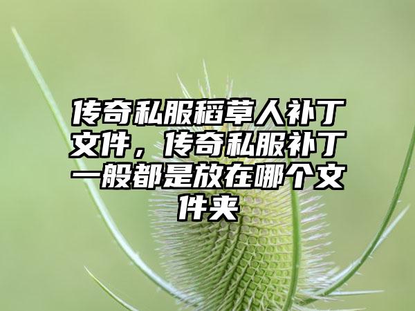 传奇私服稻草人补丁文件，传奇私服补丁一般都是放在哪个文件夹