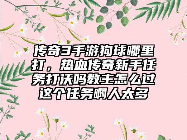 传奇3手游狗球哪里打，热血传奇新手任务打沃吗教主怎么过这个任务啊人太多