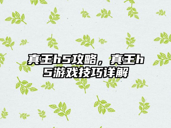 真王h5攻略，真王h5游戏技巧详解