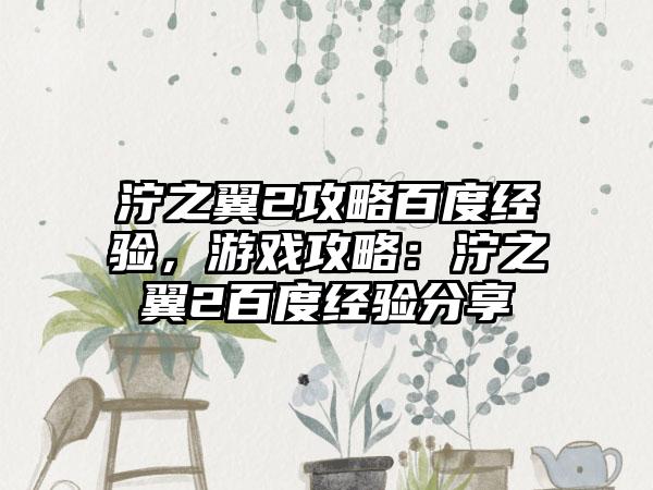 泞之翼2攻略百度经验，游戏攻略：泞之翼2百度经验分享