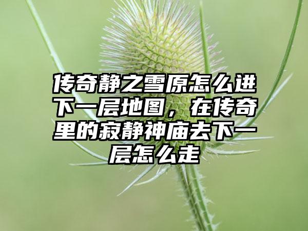 传奇静之雪原怎么进下一层地图，在传奇里的寂静神庙去下一层怎么走