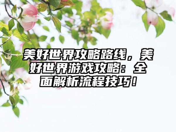 美好世界攻略路线，美好世界游戏攻略：全面解析流程技巧！