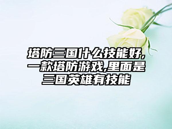 塔防三国什么技能好,一款塔防游戏,里面是三国英雄有技能