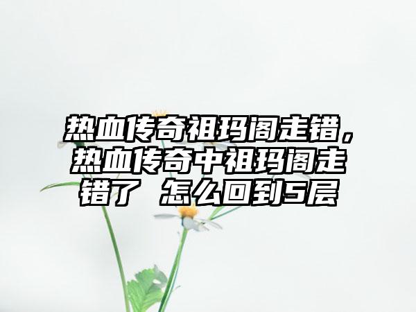 热血传奇祖玛阁走错，热血传奇中祖玛阁走错了 怎么回到5层