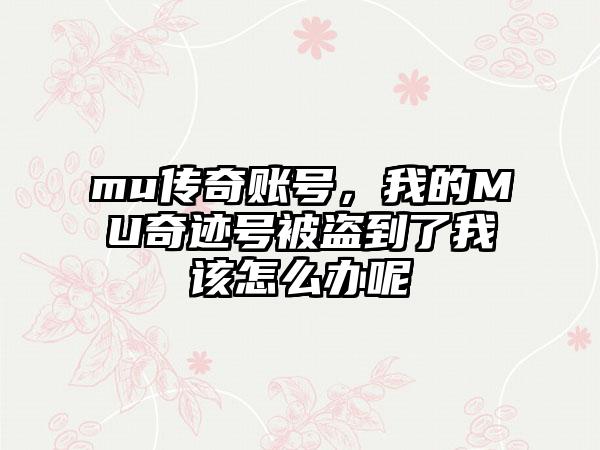 mu传奇账号，我的MU奇迹号被盗到了我该怎么办呢