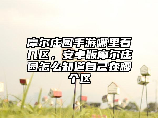摩尔庄园手游哪里看几区，安卓版摩尔庄园怎么知道自己在哪个区