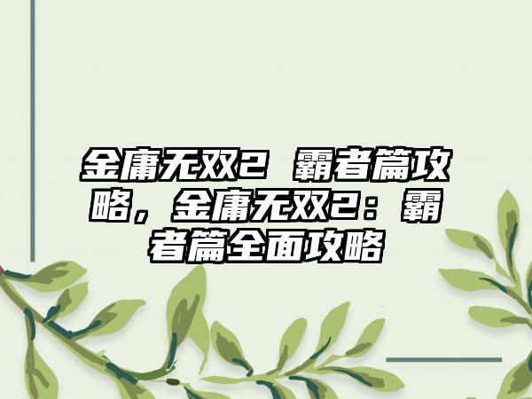 金庸无双2 霸者篇攻略，金庸无双2：霸者篇全面攻略