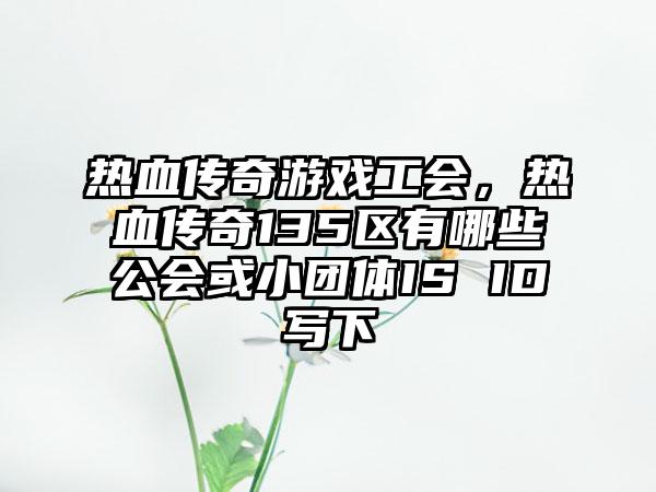 热血传奇游戏工会，热血传奇135区有哪些公会或小团体IS ID写下