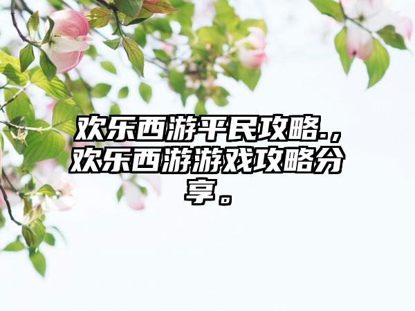 欢乐西游平民攻略.，欢乐西游游戏攻略分享。