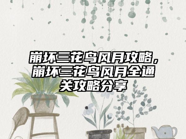 崩坏三花鸟风月攻略，崩坏三花鸟风月全通关攻略分享