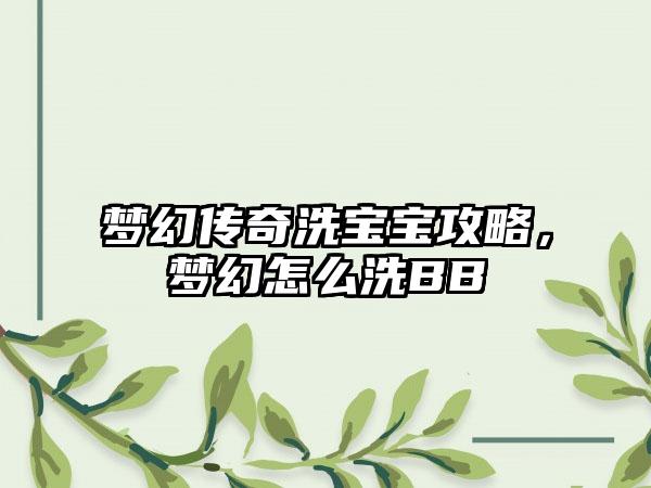 梦幻传奇洗宝宝攻略，梦幻怎么洗BB
