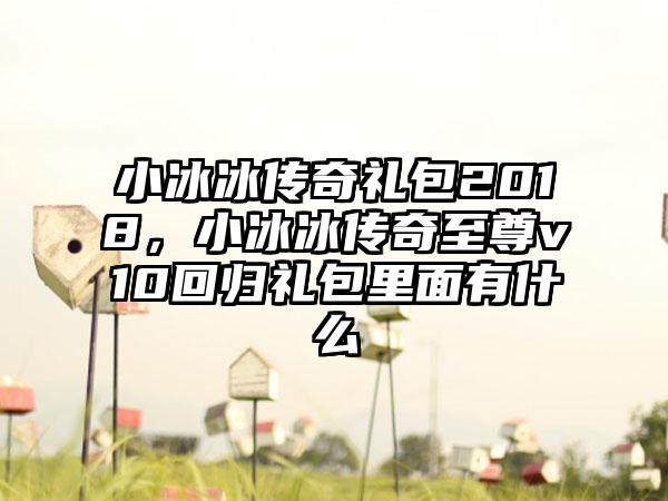 小冰冰传奇礼包2018，小冰冰传奇至尊v10回归礼包里面有什么