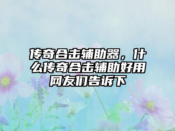 传奇合击辅助器，什么传奇合击辅助好用网友们告诉下
