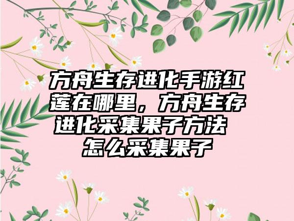 方舟生存进化手游红莲在哪里，方舟生存进化采集果子方法 怎么采集果子