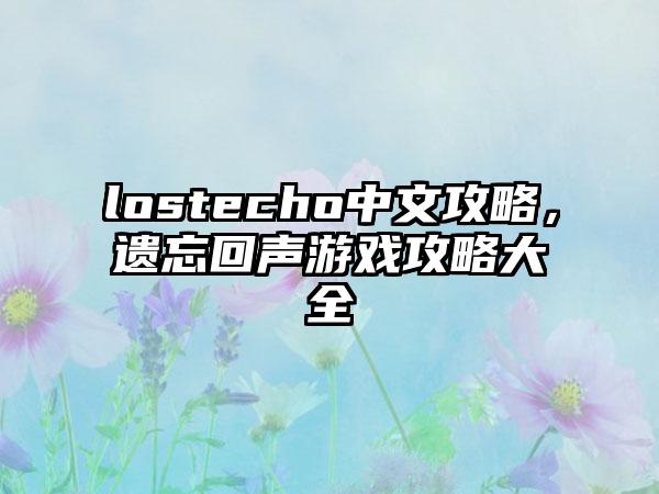 lostecho中文攻略，遗忘回声游戏攻略大全