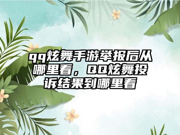 qq炫舞手游举报后从哪里看，QQ炫舞投诉结果到哪里看