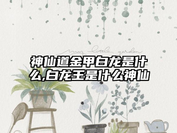 神仙道金甲白龙是什么,白龙王是什么神仙